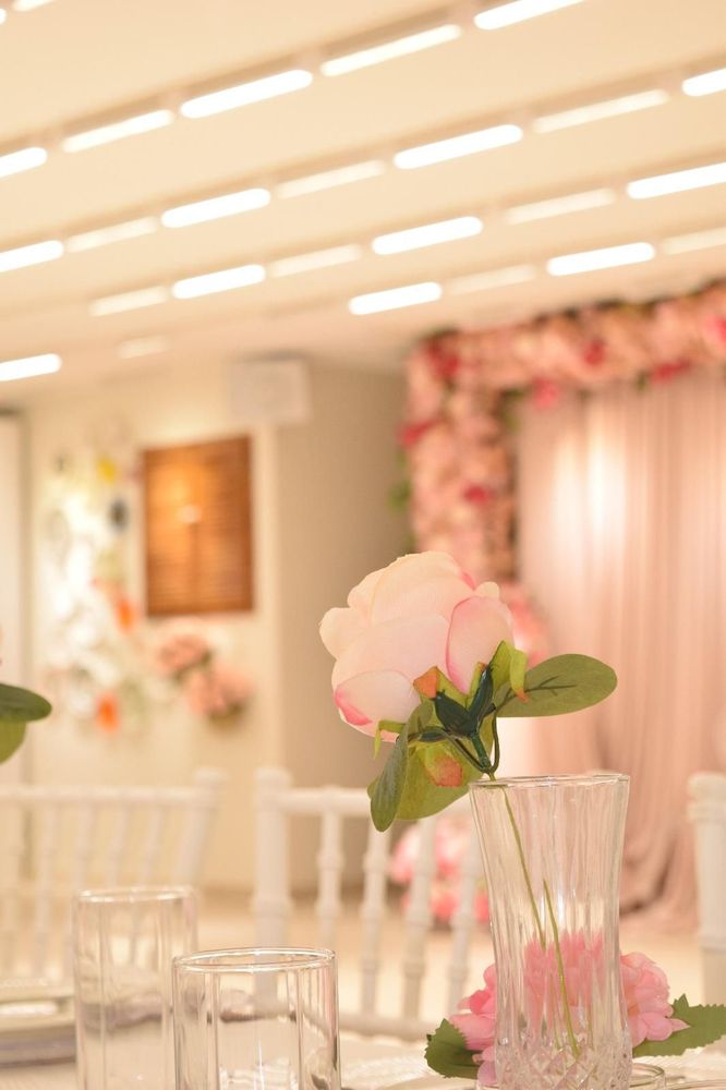 Pembe Yankı konsepti - 3